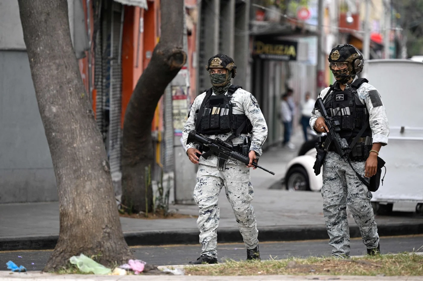 941f12ebc49f3b6b44667cae8a4f981c low